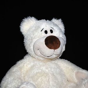 Meet your Posher, Stan